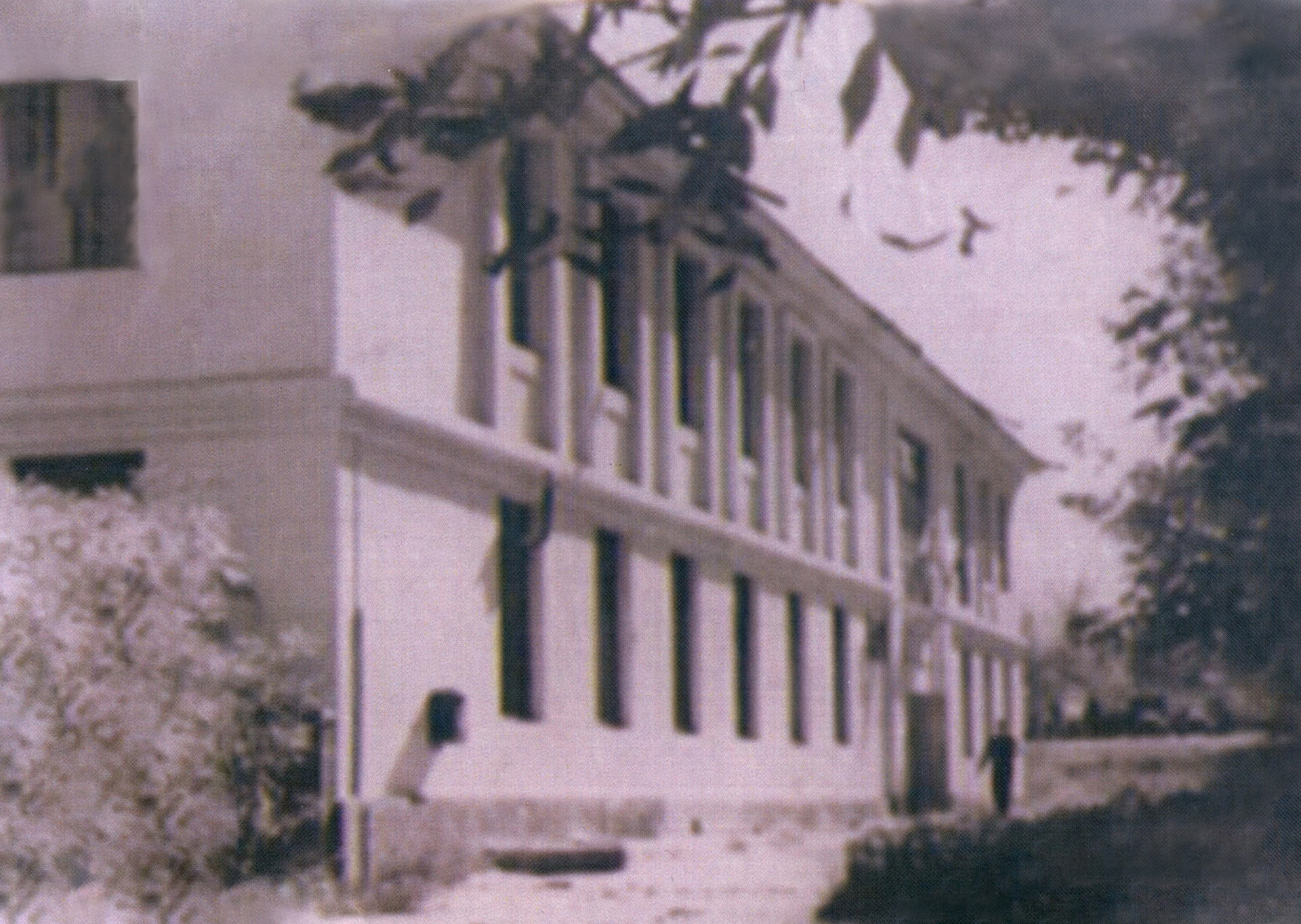 college_development